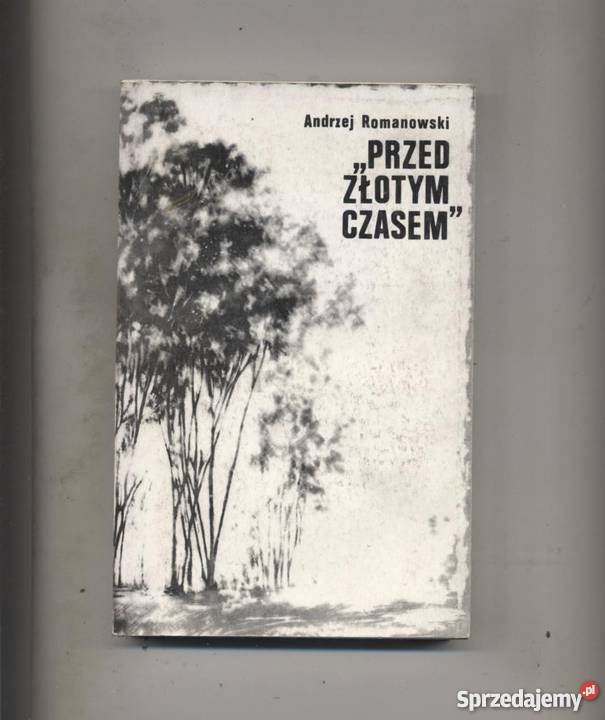 Przed Złotym czasem Szczecin