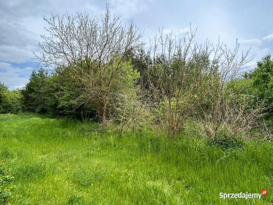 Działka Siedliskowa w Ruskowie 2791m2 Rusków