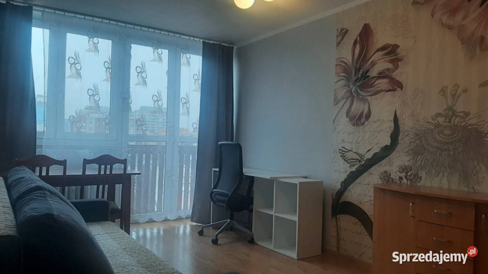 Mieszkanie 2pokojowe do wynajęcia w Centrum Liczba pokoi 2 Wrocław