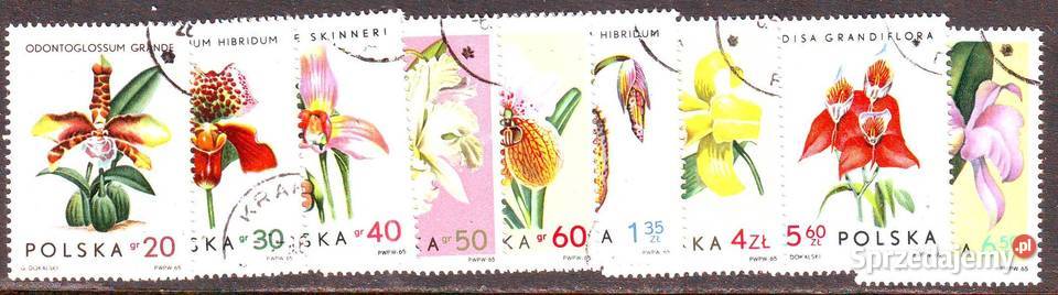 Zn Fi 1463 71 kas 1965 Gliwice