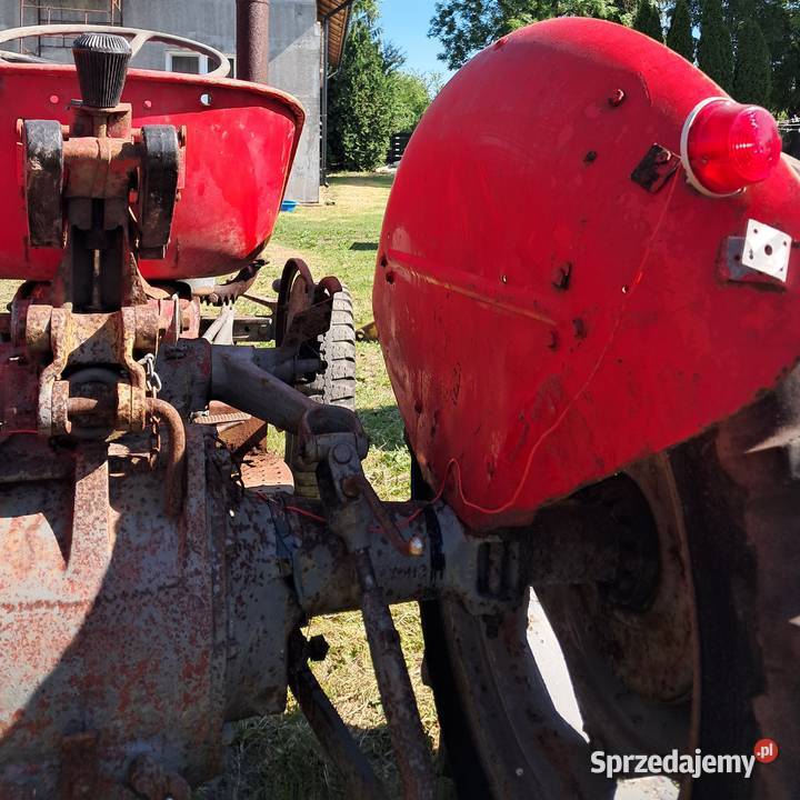 Massey ferguson Gniewkowo