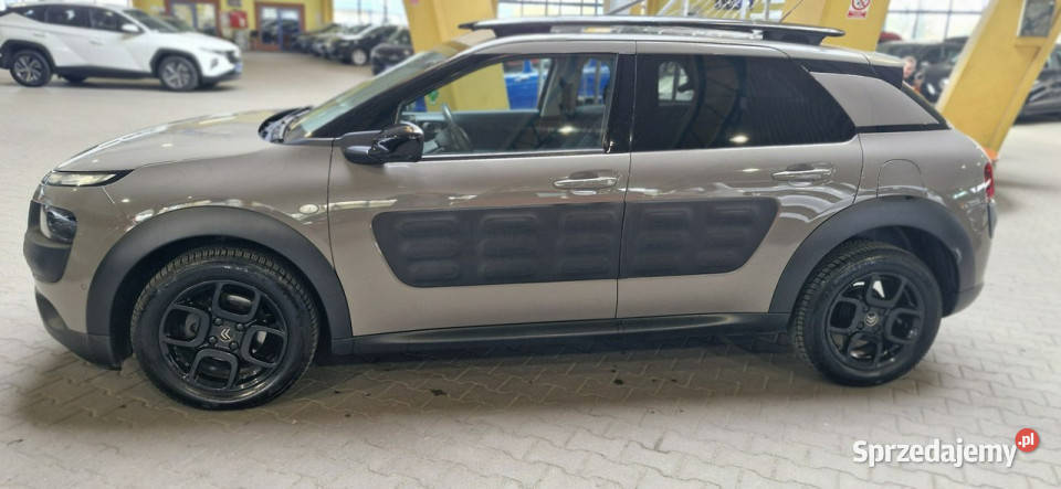 Citroen C4 Cactus OPIS W podanej roczna Mysłowice