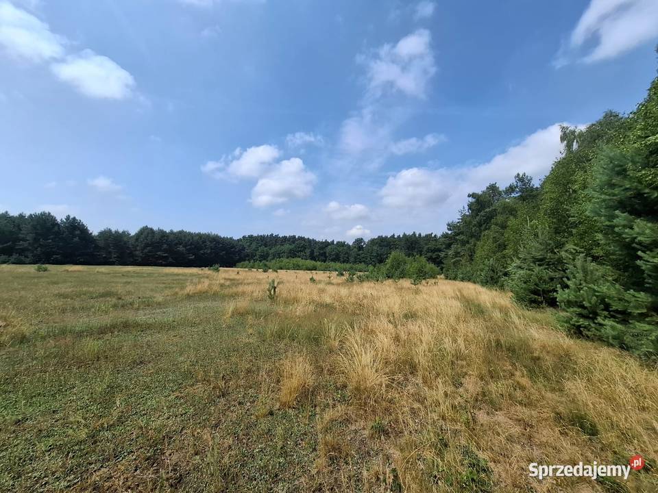 Działka rolna 28700mkw Wilkowo Dolina Baryczy 276m