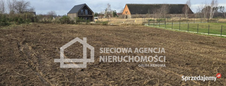 Grunt 1313m2 Mierzyno polna Sprzedaż