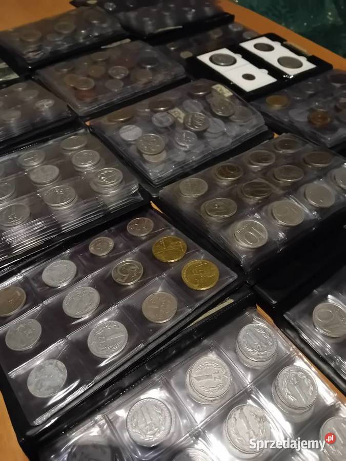 Albumy klasery z monetami 14 Kazimierza Wielka