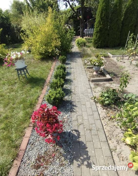 Działka Rekreacyjna 300 m2 Norwida ALTANKA opolskie Kluczbork sprzedam