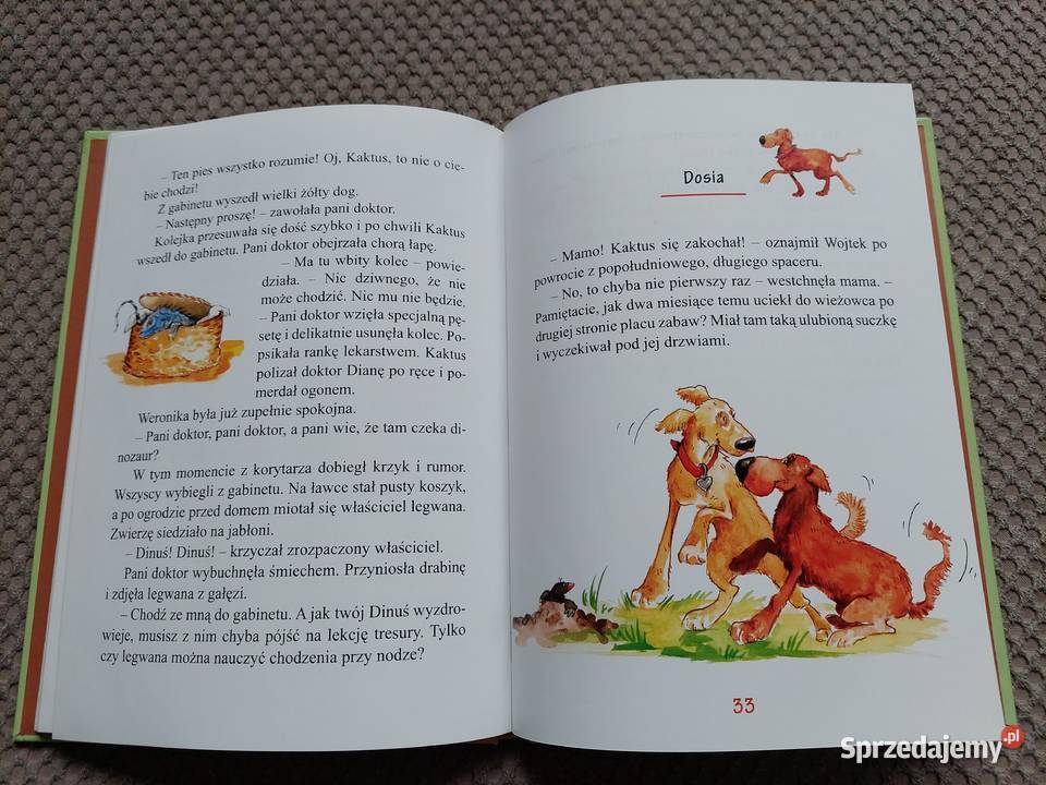 Kaktus pies Barbara Gawryluk ISBN 9788376721293 małopolskie sprzedam