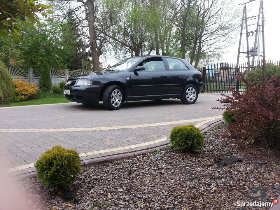 AUDI A3 WARTA POLECIENIA Żyrardów
