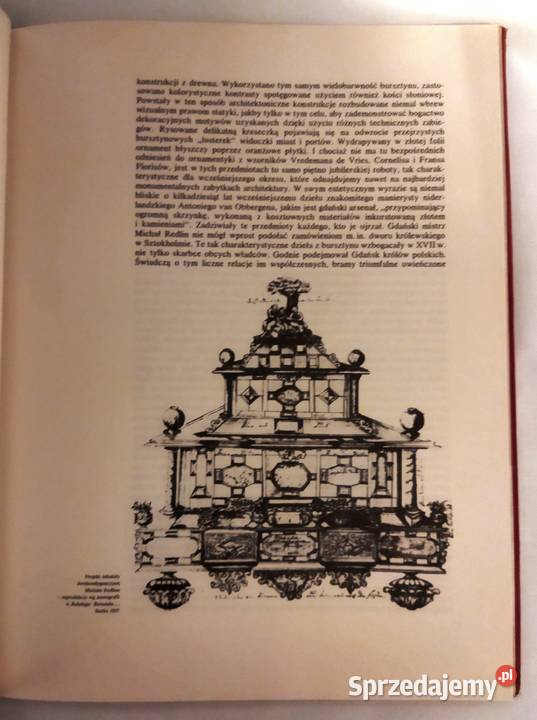 Polski bursztyn książka podkarpackie