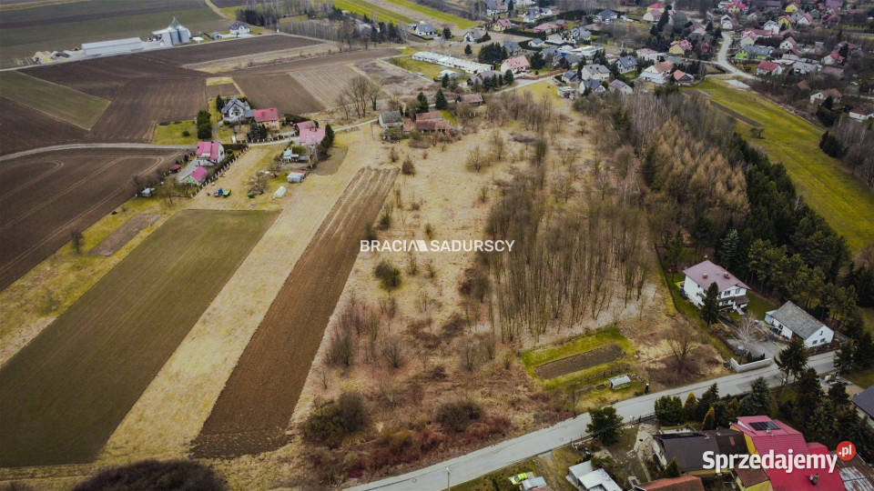 Grunt 7000m2 Wołowice Sprzedaż małopolskie