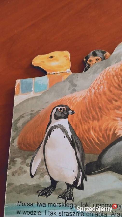 małpka i inne zwierzęta w zoo Poznań
