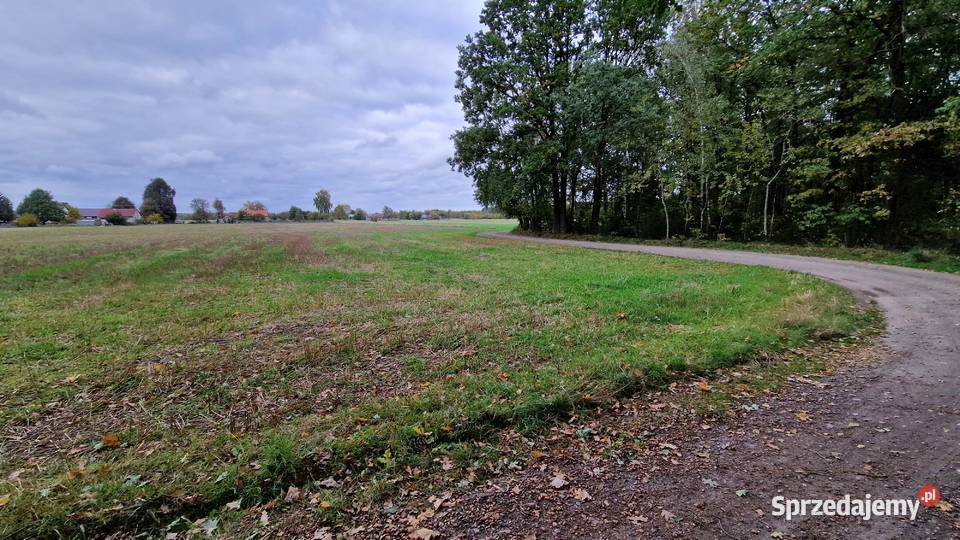 Okazja Działka 1500 m I 43 m I 15 min Łukowa Sarnów sprzedam