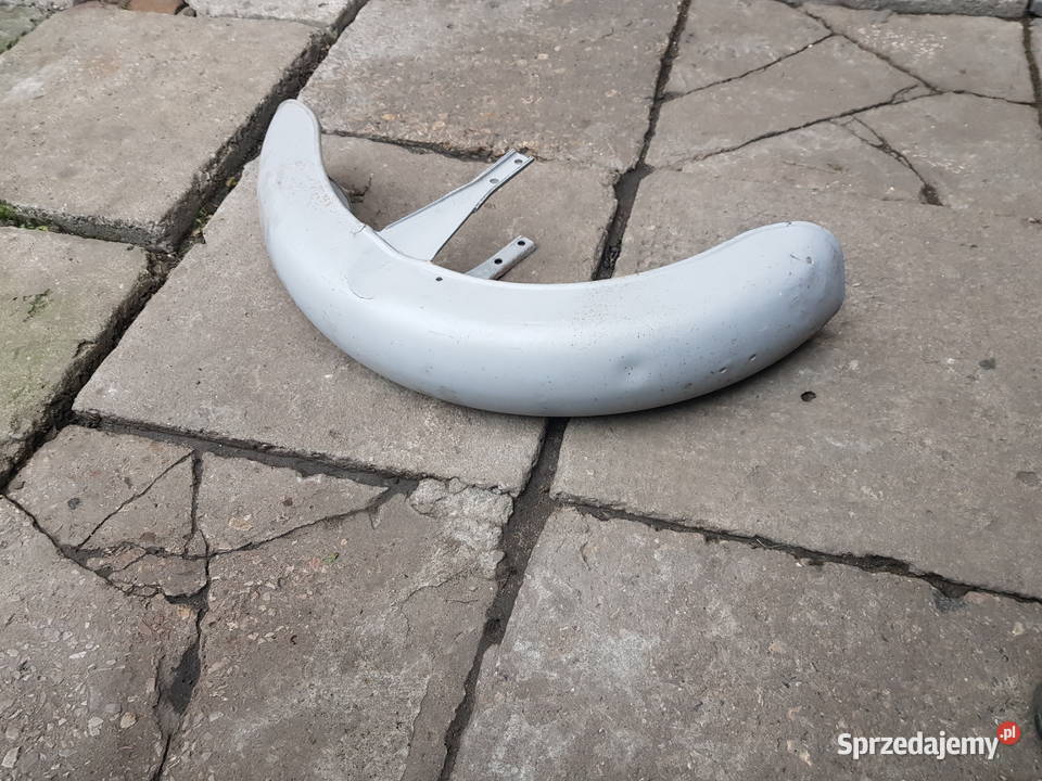 panonia blotnik przedni Jędrzejów