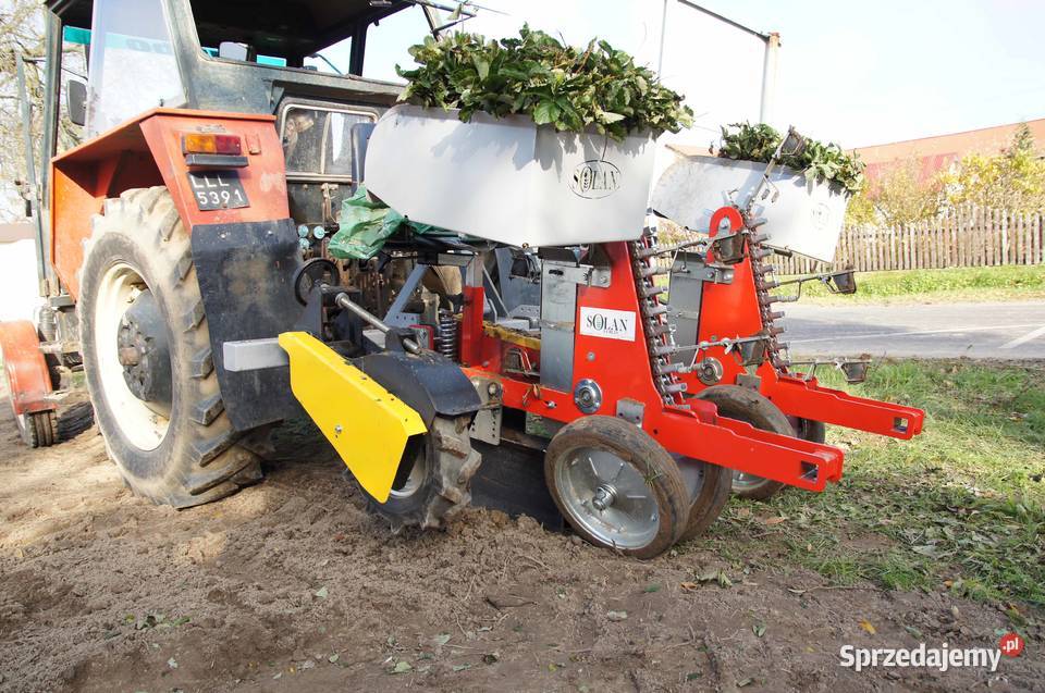 Szadzarka do truskawek SOLAN TX 2 rzędy standard Rząśno