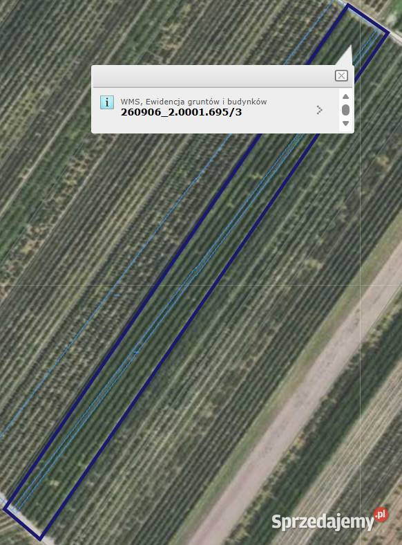 Sprzedam pole orne 119 ha Bilcza