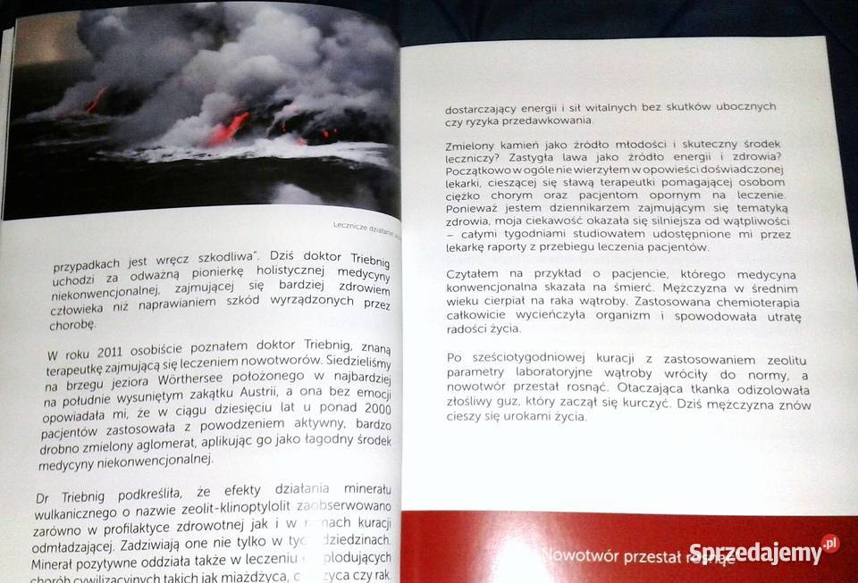 The Stone of Health Ingomar W Schwelz Chełm