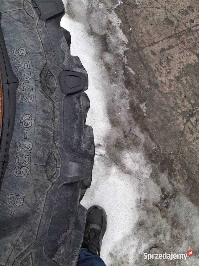 koła wąskie miedzyrzędzi upraw miedzyrzędowych Radziemice