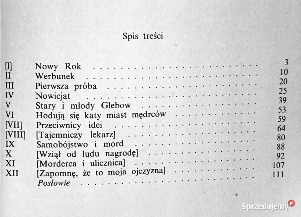 Czarny Bóg Maria Rodziewiczówna lubelskie Chełm