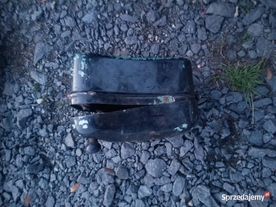 Panonia skrzynka Leśna