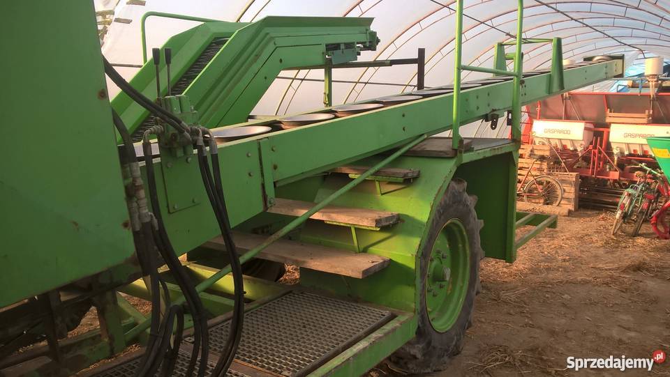 Kombajn do różyczkowania kalafiora brokuła Pacanów sprzedam