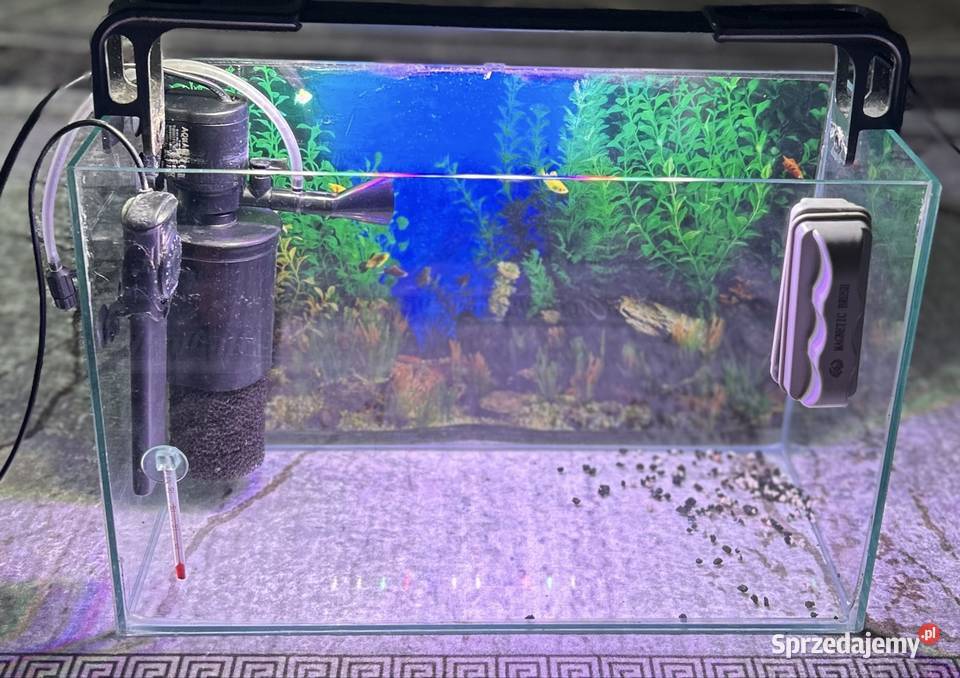 Sprzedam akwarium 40x20 Opis Sokołów Podlaski