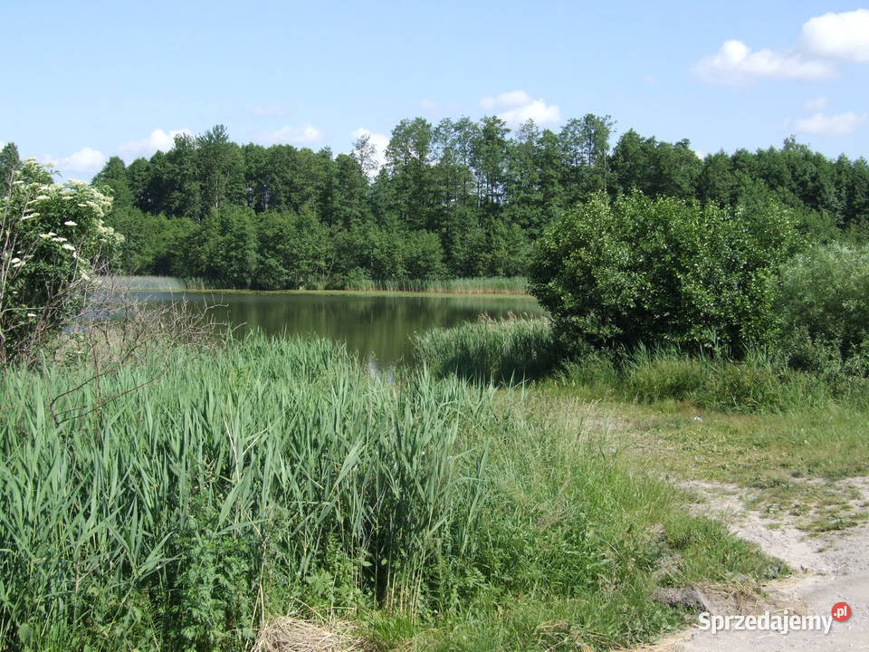 Piękna działka rolnobudowlana 3300m jeziorem woda Kikół