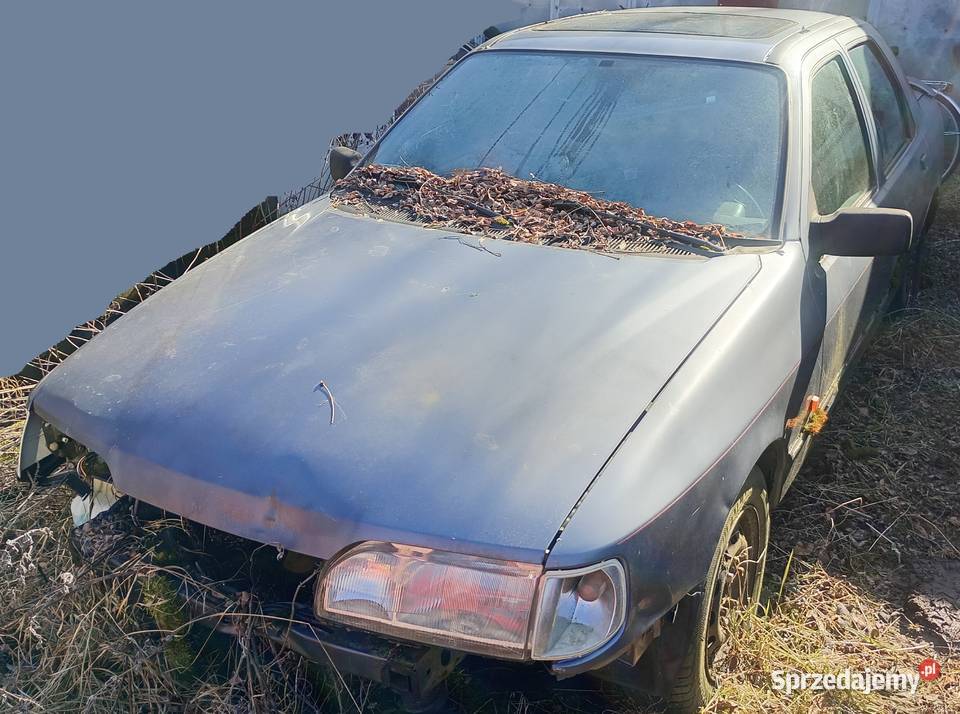 Ford sierra 20 EFI Bydgoszcz