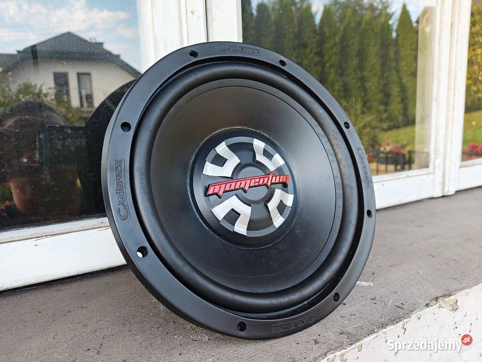 Głośnik bassowy basowy niskotonowy 10 25 250mm 250 mm Niegowonice sprzedam