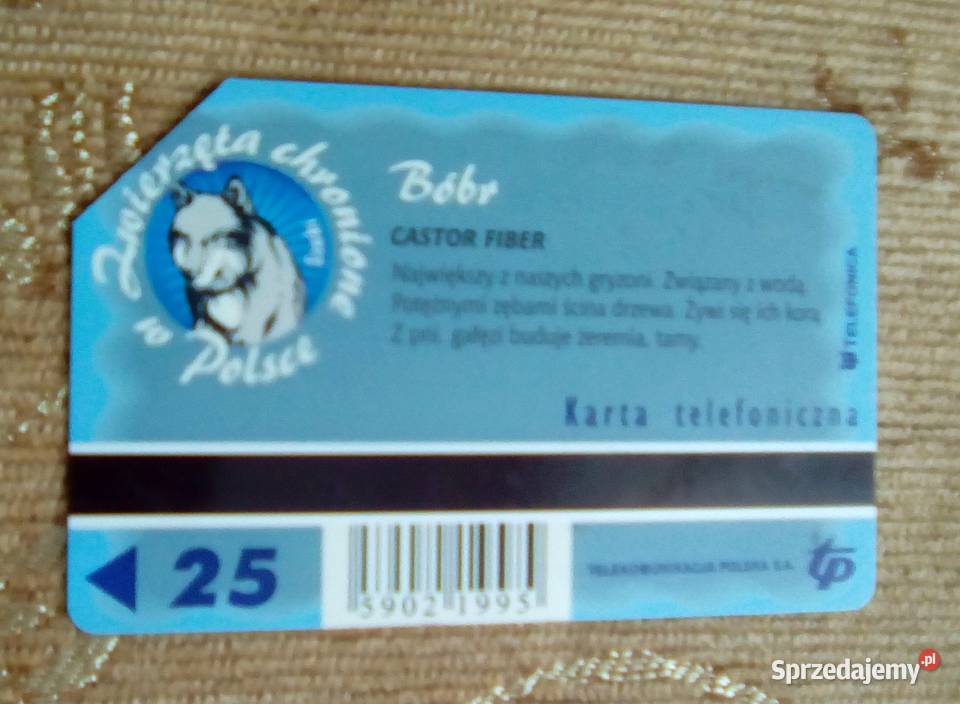 BÓBR JEDEN Z NAJWIĘKSZYCH POLSKICH WODNYCH Pocztówki i karty telefoniczne Piszczac