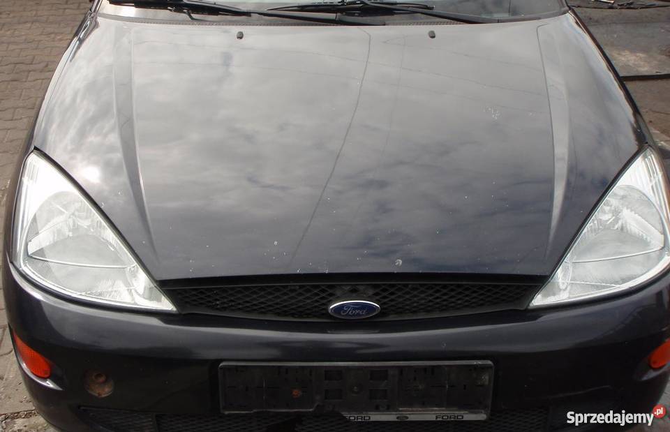 Ford Focus MK1 I kolor F8 NA CZĘŚCI Piotrków Trybunalski
