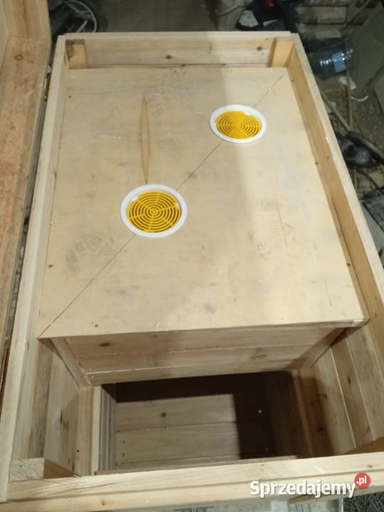 Ule wielkopolskie leżaki