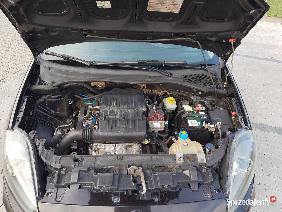 Fiat Punto Evo 2012r 14 8v Benzyna 77 1 kupiony w polskim salonie Radom