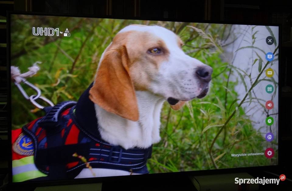 Telewizor LG 49SK8100PLA UHD4k naprawiany Szczecin