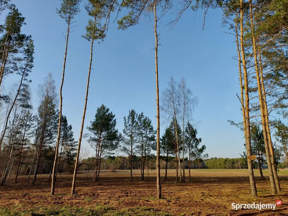 Rogóźno 1261m2 piękna działka rzeki i lasu sprzedam