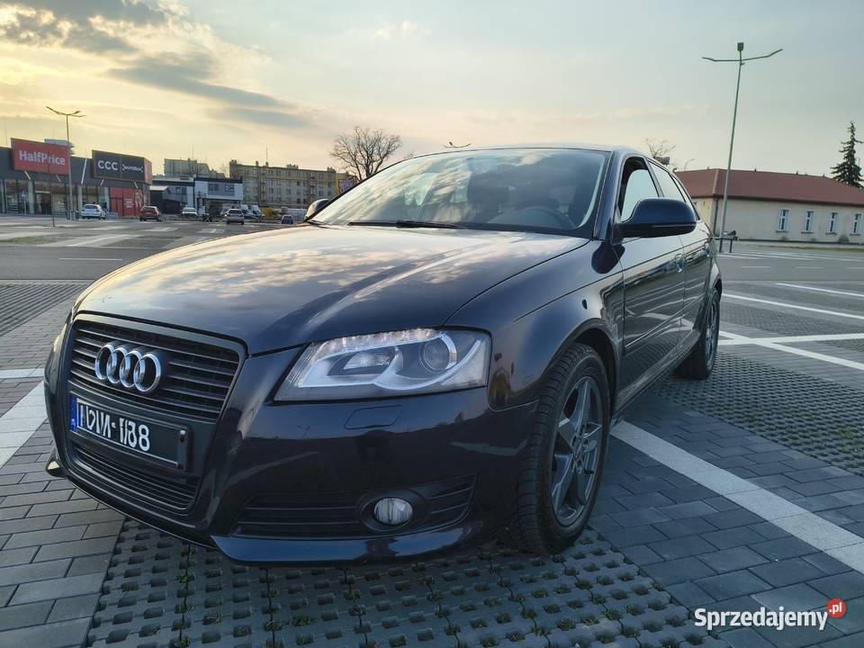 Audi A3 8P 20TDI