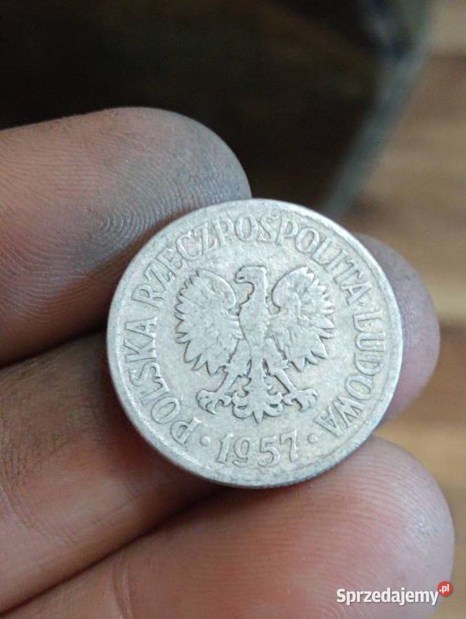 Sprzedam 50 groszy 1957 bez znaku menncicy lubelskie Chełm sprzedam