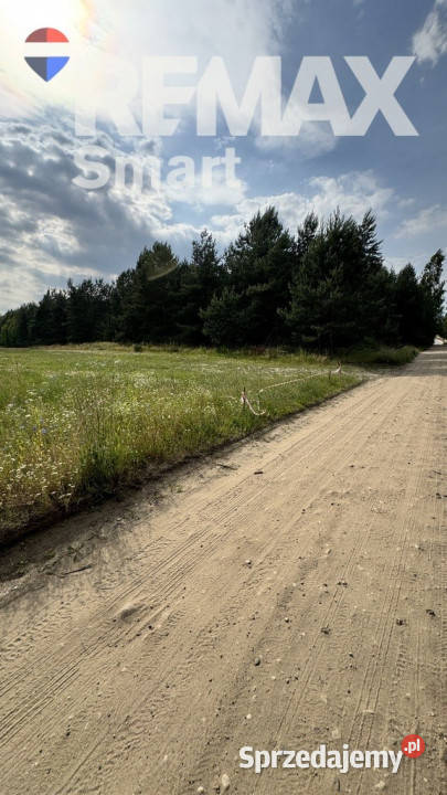 działka budowlana w otoczeniu lasu sprzedam