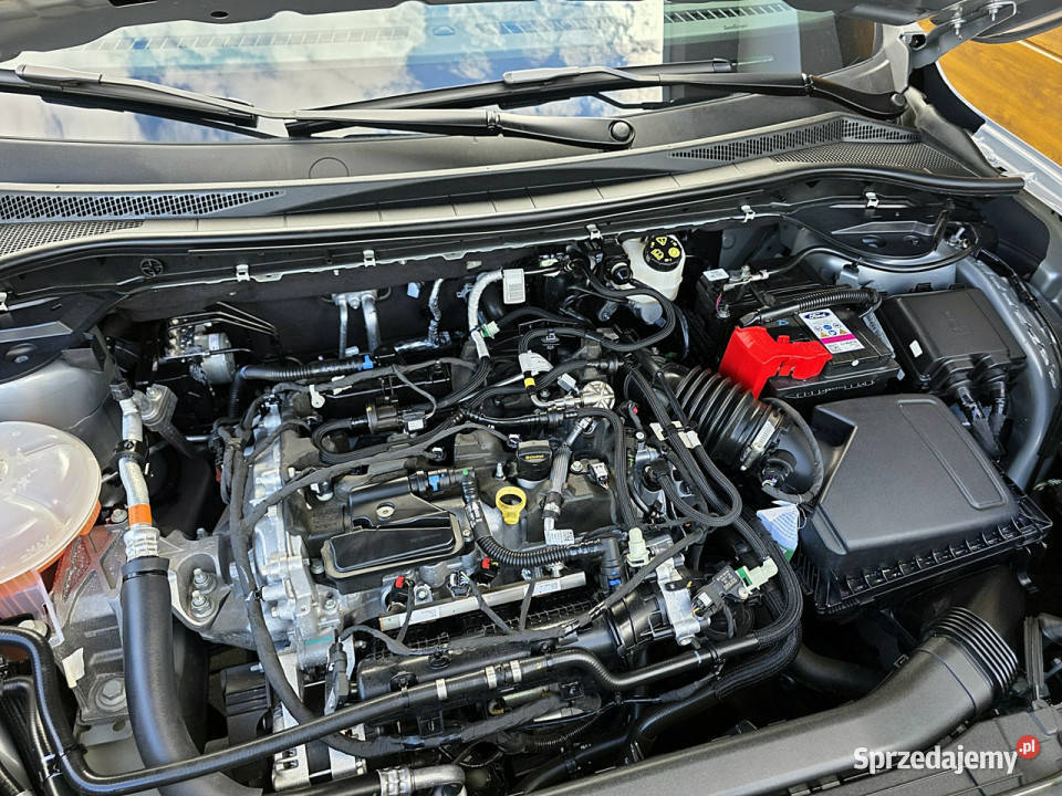 Ford Kuga serwis ASO III 2019 benzyna śląskie
