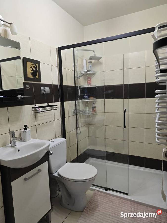 Komfortowy dom w spokojnej okolicy Czechowice-Dziedzice