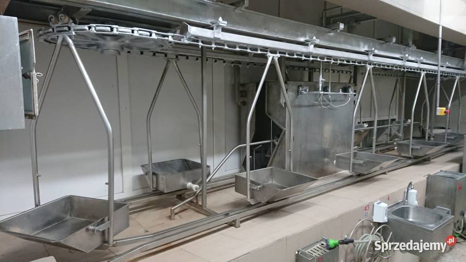 Linia do transportu jelit wielkopolskie Raków