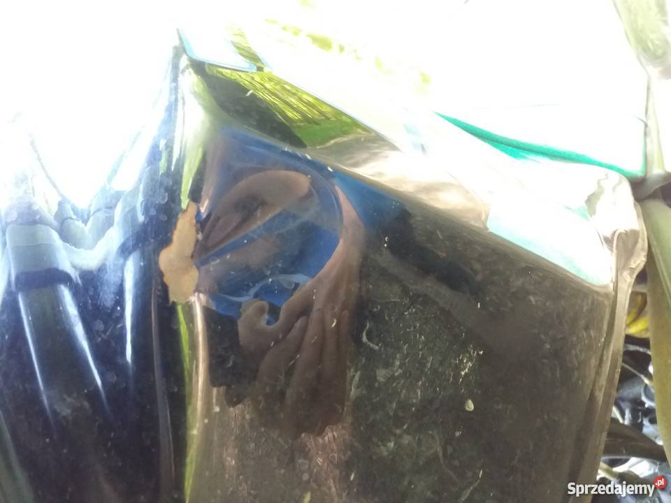 Yamaha DT 80 50 53V Kołczygłowy