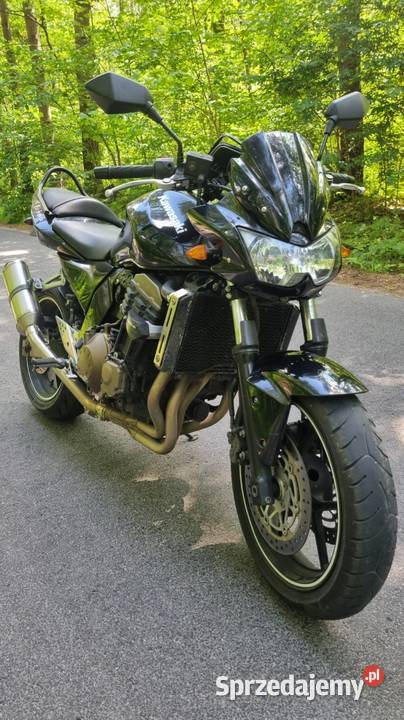 Kawasaki Z750 naked kujawsko-pomorskie Pakość