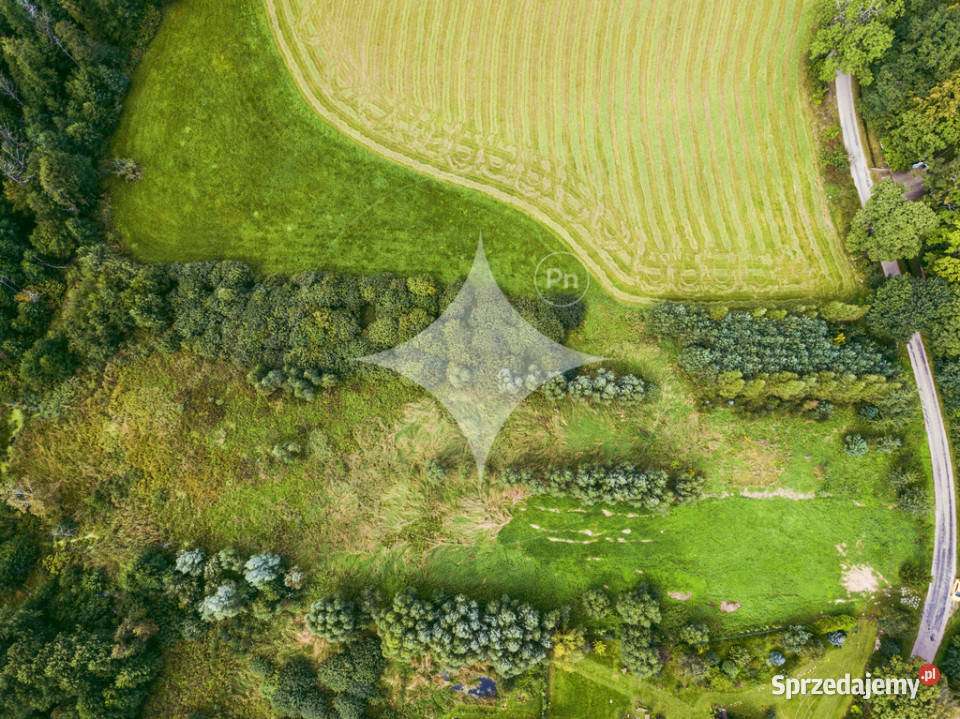 Działka rolna na Mazurach Golubie Sprzedaż sprzedam
