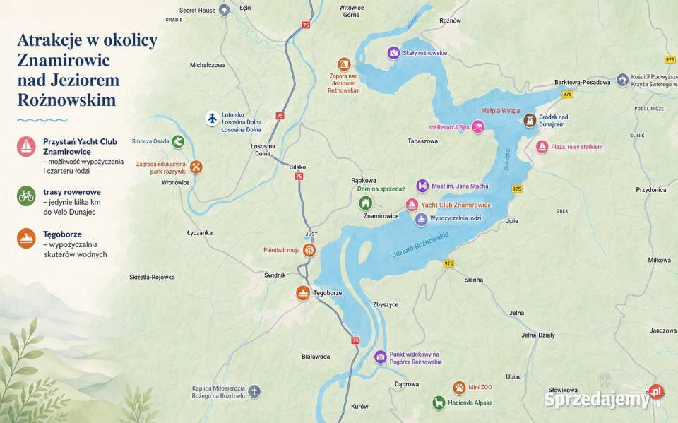 Dom wolnostojący 614m2 Znamirowice 2 piętra sprzedam