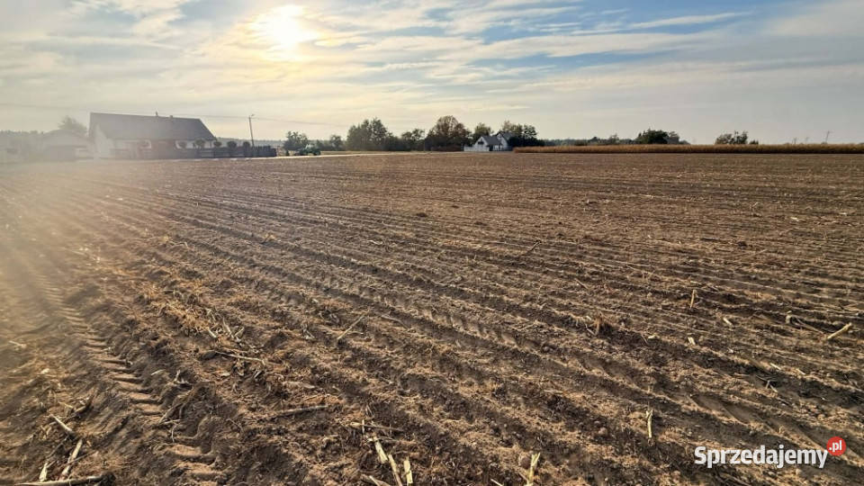 DZIAŁKI BUDOWLANE NA SPRZEDAŻ KOKCZYN I Kokczyn Pierwszy