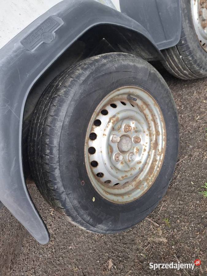 Przyczepa dwuosiowa westfalia 300x140 Krosno Odrzańskie
