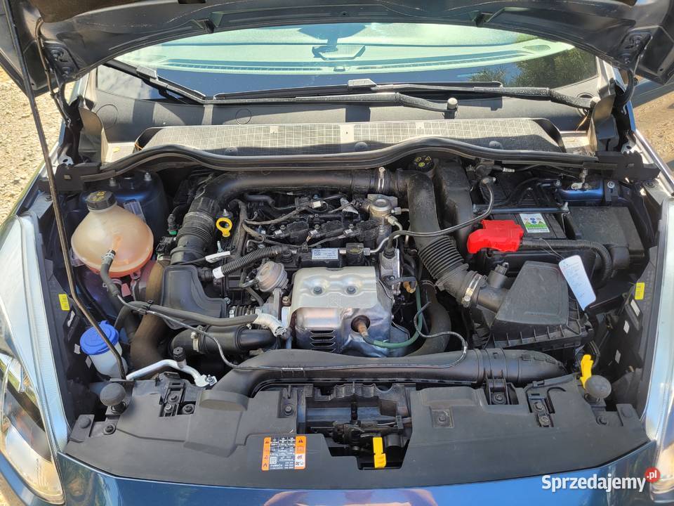 Ford Fiesta Mk8 Duża Nawigacja Tempomat Asystent lakier metallic Gniewczyna Łańcucka