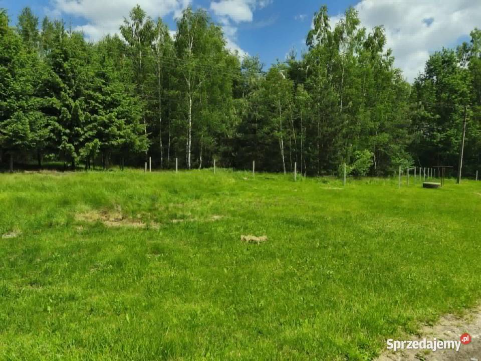 Dom w Żdżarach gmina Czarna 1252m2 Żdżary