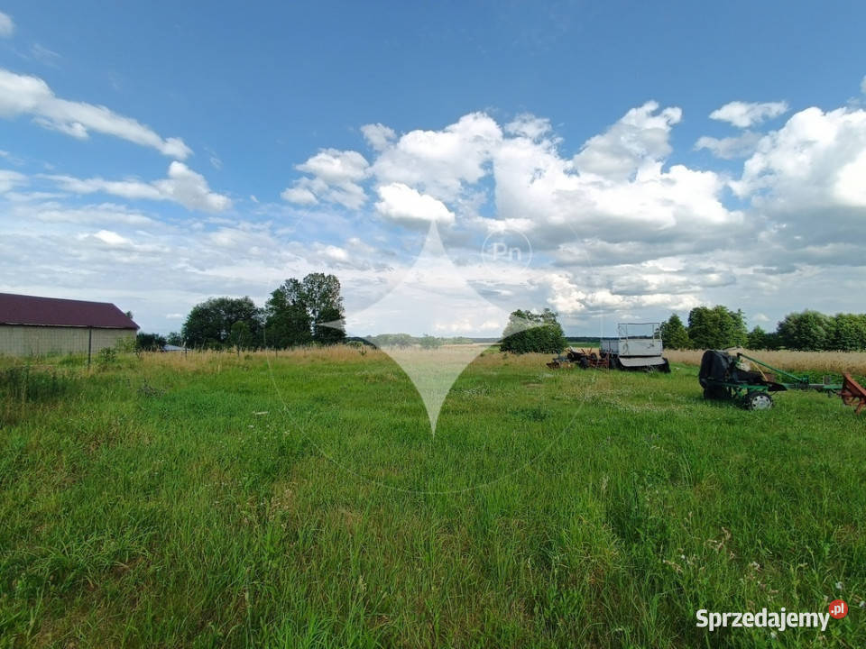 Siedlisko w malowniczym Kodniu powiat bialski Kodeń