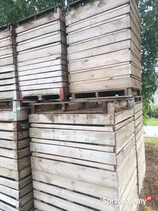Skrzynio palety Kozienice sprzedam
